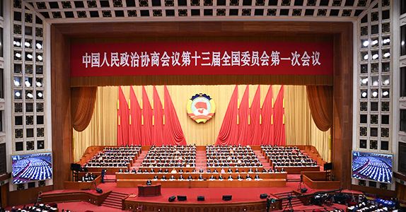 全國政協(xié)委員詹純新：企業(yè)走出去要“做主、做深、做透”