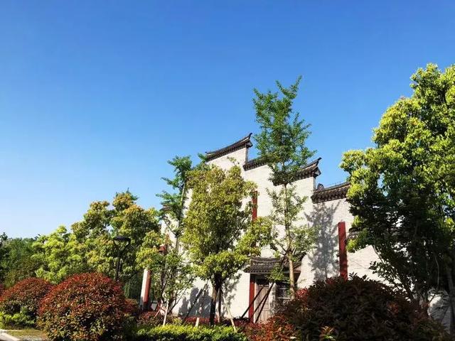 二審期間取得建設(shè)工程規(guī)劃許可證，仍可判施工合同有效！